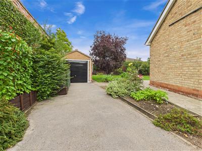 Picture 20